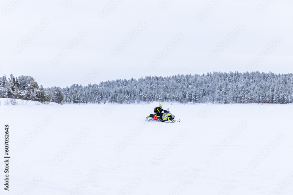 Snowmobile riding on a frozen lake with snow covered pine tree forest in the background in Lapland