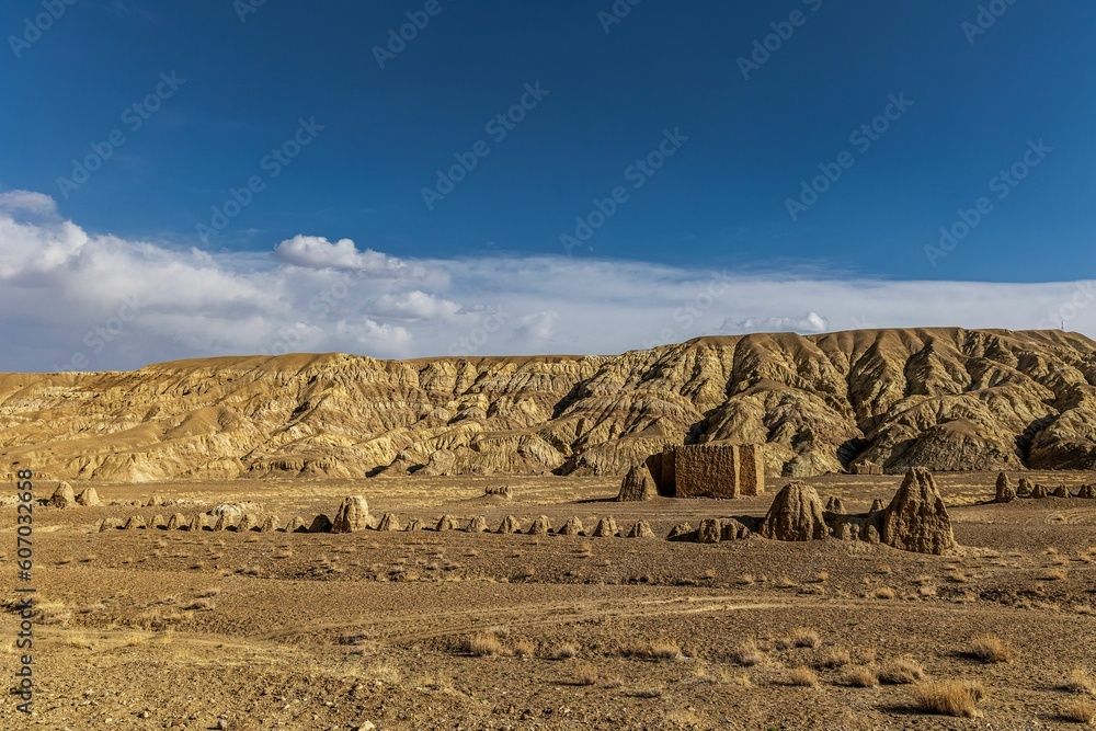 Forest landforms and stone formations in Zada County, Ali Prefecture, Tibet, China