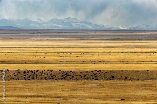 Wild grassland with mountains in the background. Zanda County, Tibet, China. photo