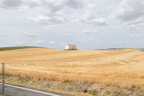 Campos de cereal recolectados en Córdoba en el mes de mayo