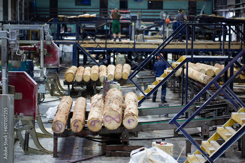 Quadro su tela Industrial plant sawmill - production of wooden boards with modern machines