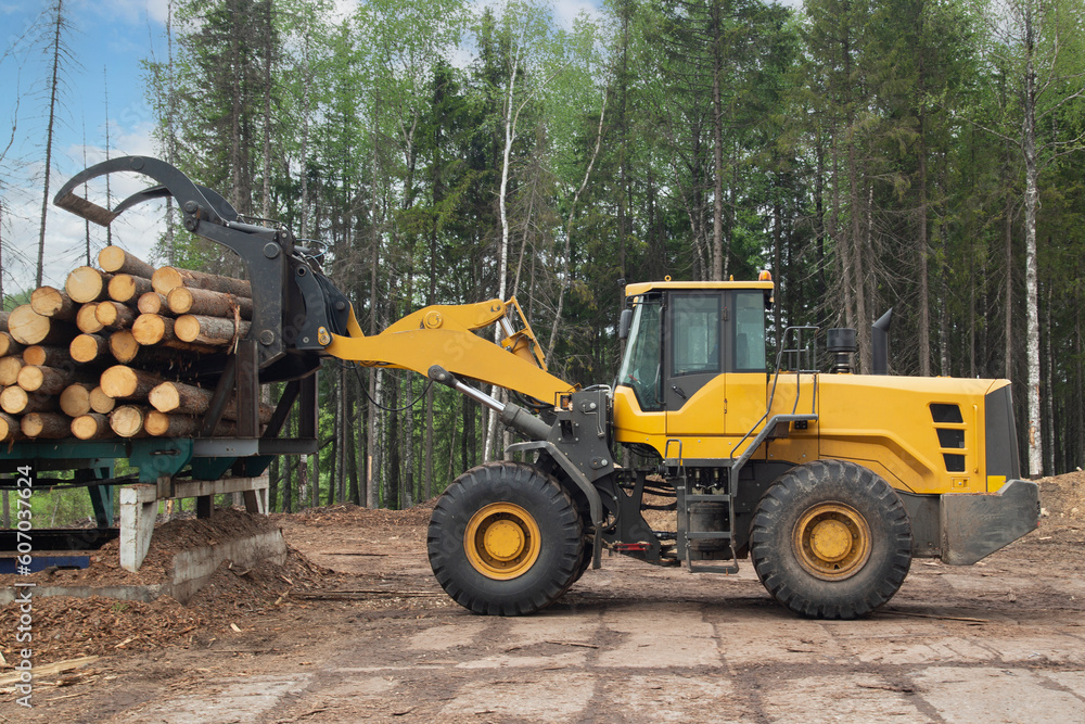 Loading logs with a special loader.Timber products warehouse on a specialized site. Loading logs with a special loader.Timber products warehouse on a specialized site.