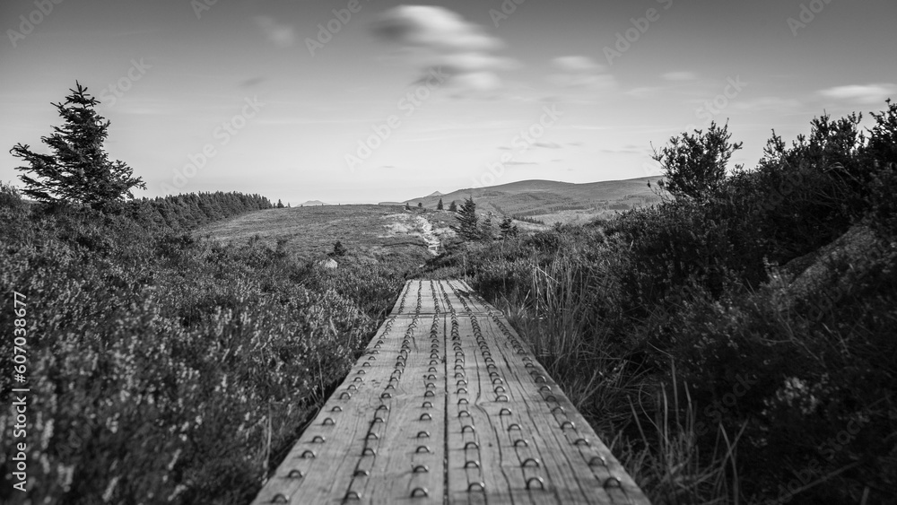 Grayscale of a wooden boardwalk between bushes and trees leading to a beautiful landscape of hills.