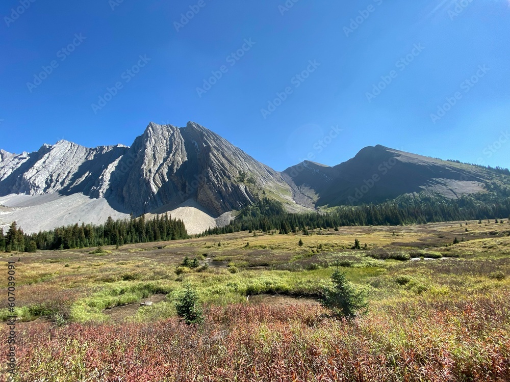 Beautiful Mount Chester on a sunny day with a blue sky in the background, Alberta, Canada
