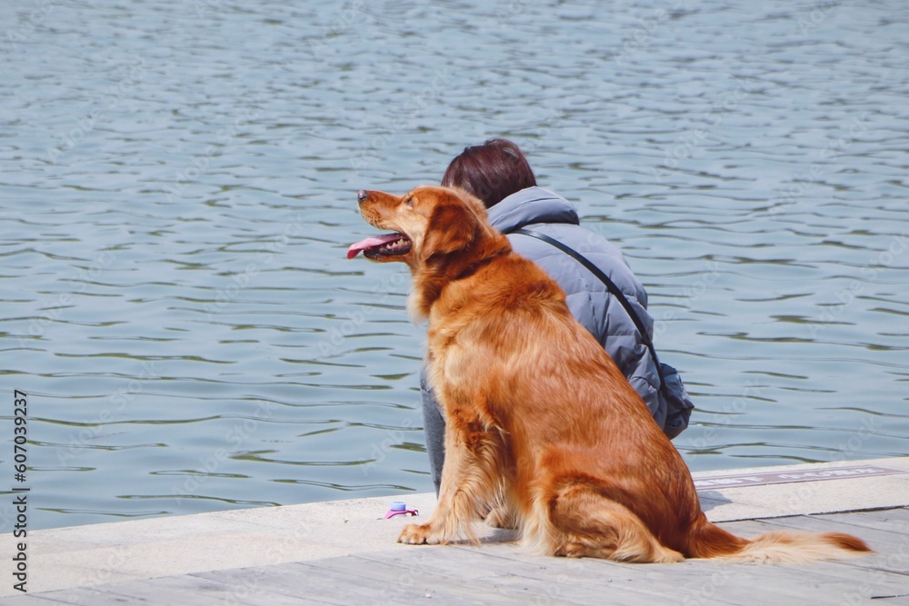 Woman sitting by the sea with her golden retriever dog Woman sitting by the sea with her golden retriever dog