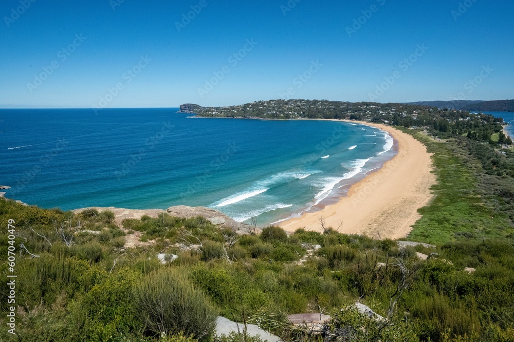 Beautiful shot of a seascape near a forest during the day