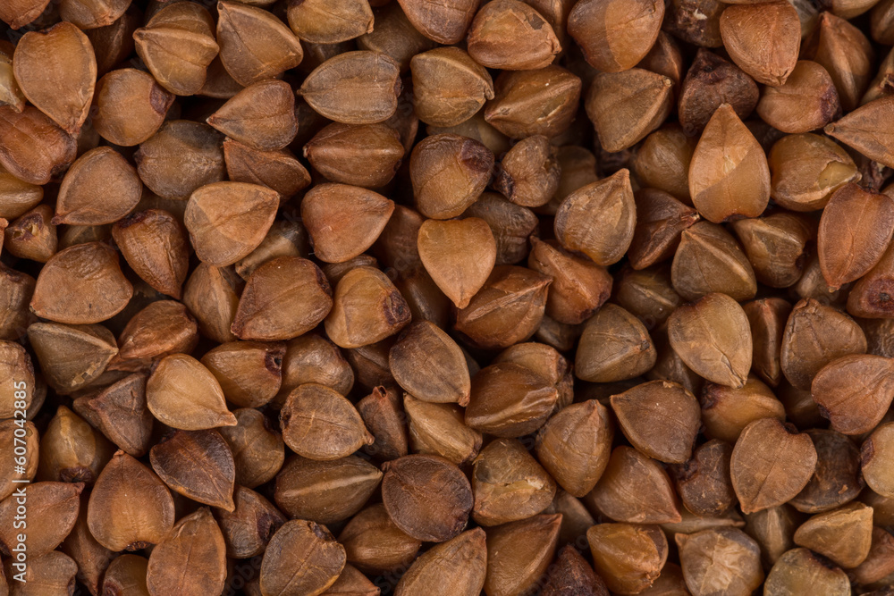 Buckwheat texture Buckwheat texture