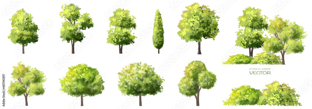 Vector watercolor green tree or forest side view isolated on white background for landscape and architecture drawing,elements for environment or garden,botanical element for exterior section in spring