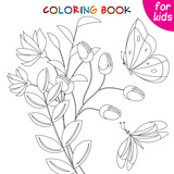 Butterflies collection. Butterfly and moth near a flower. Coloring book page