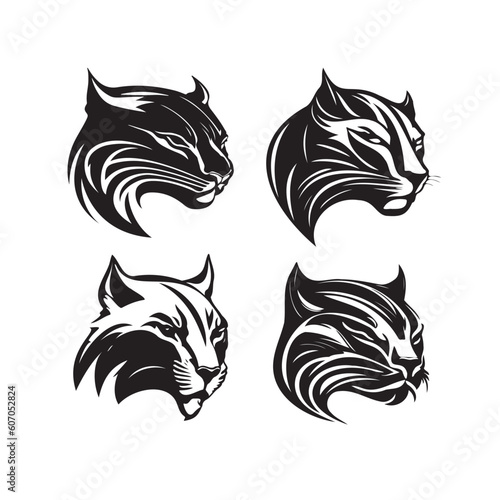 Puma line drawing illustration isolated vector