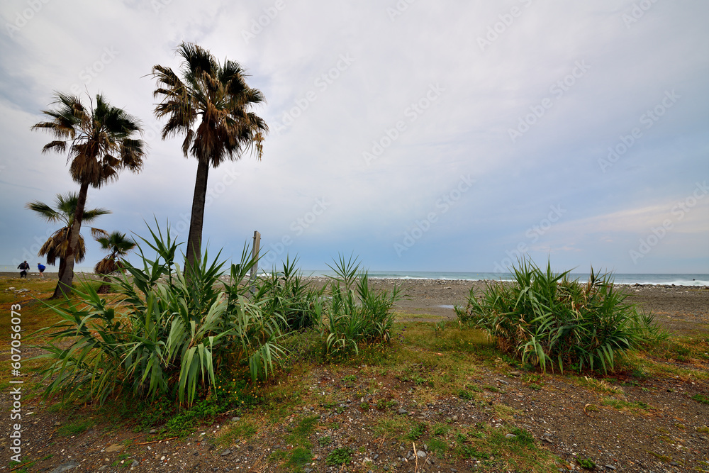 playa de Marbella con oasis de palmeras