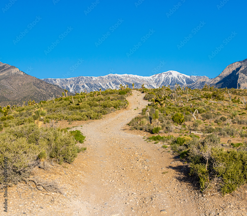 Backroads Leading to The Snow Capped Spring Mountains Range, Spring Mountains National Recreation Area, Nevada, USA
