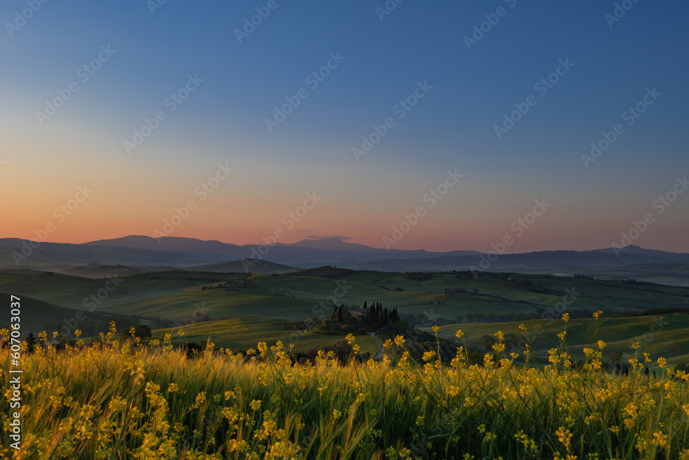 Obraz premium Tuscany fields in springtime, sunrise foggy mood,, Val d'Orca, Pienza region