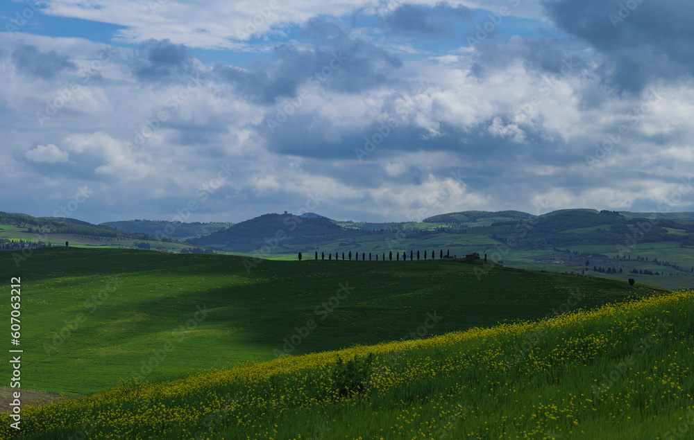 Tuscany fields in springtime, cloudy day mood, Val d'Orca, Pienza region