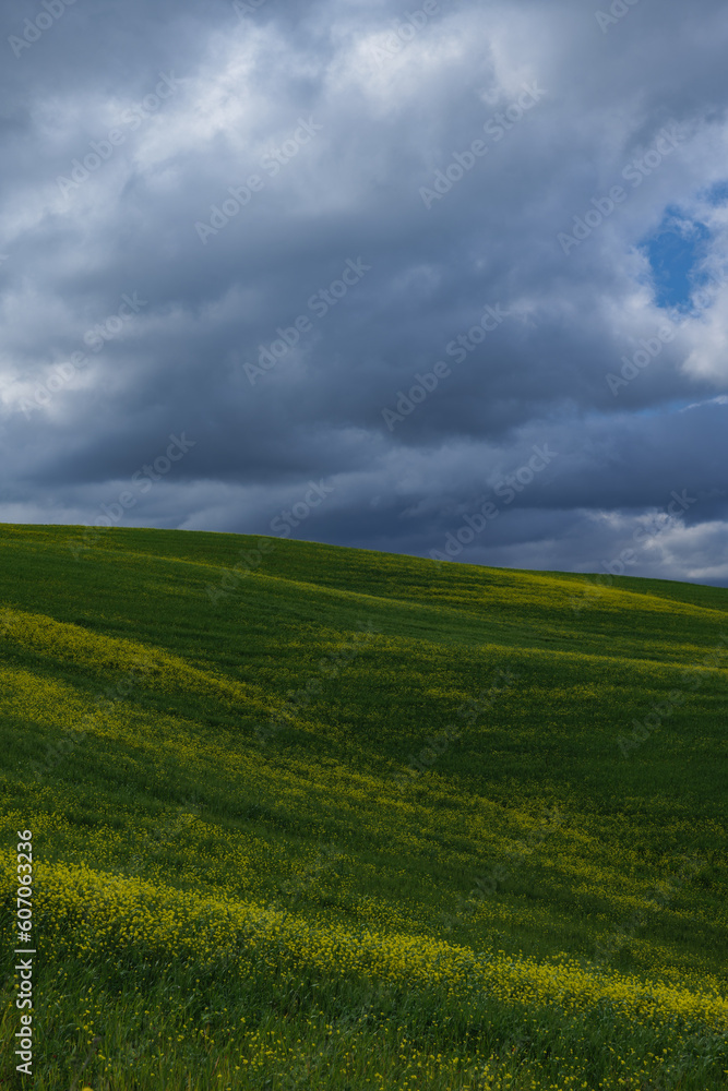 Fototapeta premium Tuscany fields in springtime, cloudy day mood, Val d'Orca, Pienza region