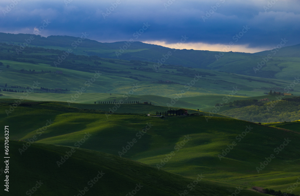 Fototapeta premium Tuscany fields in springtime, sunrise foggy mood,, Val d'Orca, Pienza region