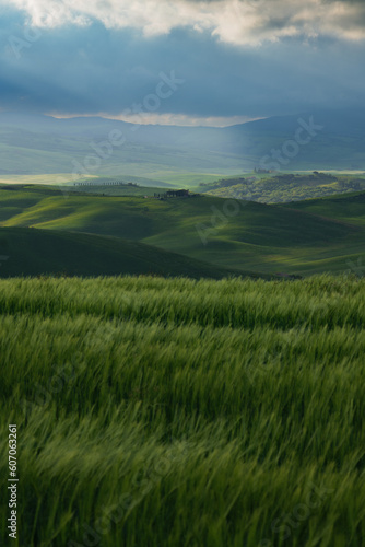 Tuscany fields in springtime, sunrise foggy mood,, Val d'Orca, Pienza region
