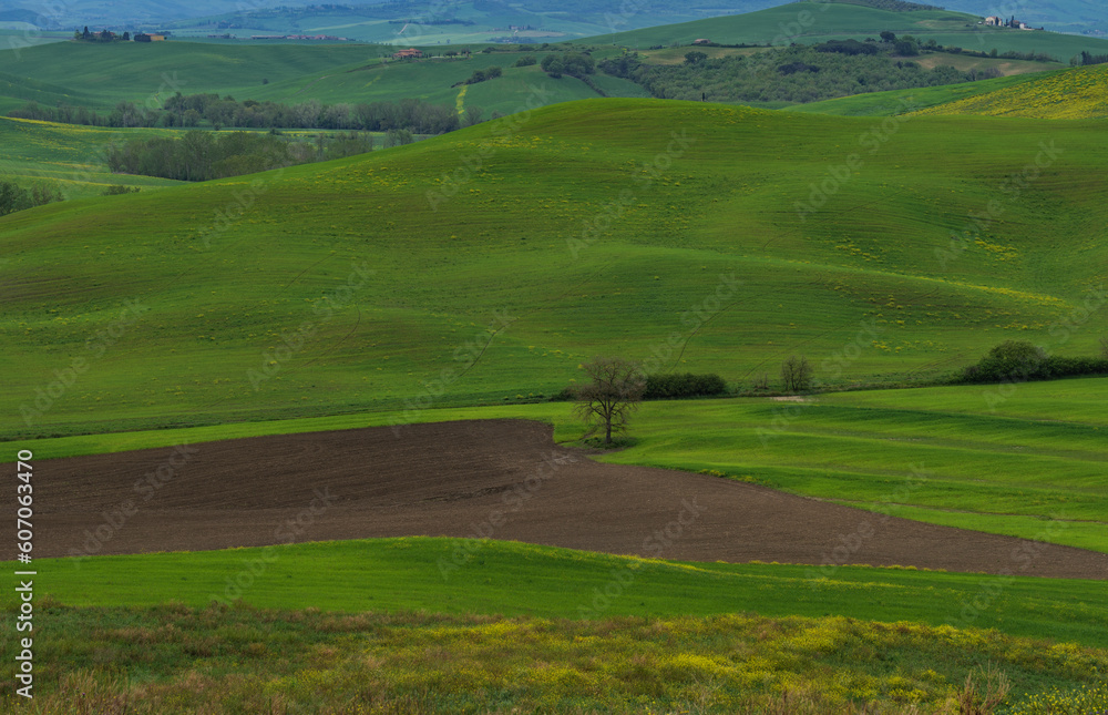 Tuscany fields in springtime, cloudy day mood, Val d'Orca, Pienza region Tuscany fields in springtime, cloudy day mood, Val d'Orca, Pienza region