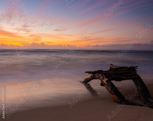 Pre Dawn Light on Driftwood and The Sandy Shore of Lydgate Beach, Lydgate Beach Park, Kauai, Hawaii, USA
