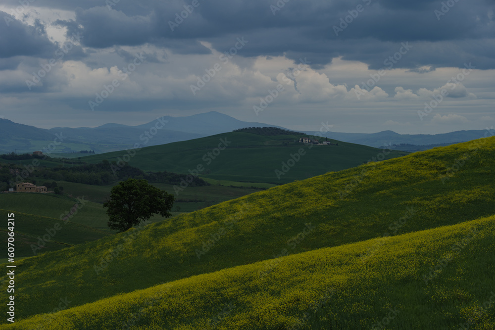 Tuscany fields in springtime, cloudy day mood, Val d'Orca, Pienza region Tuscany fields in springtime, cloudy day mood, Val d'Orca, Pienza region