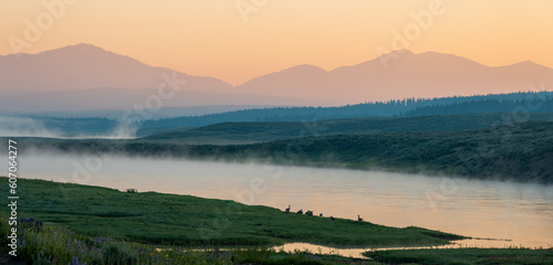Geese Sit On The Edge Of The Yellowstone River With Mt Washburn In The Distance