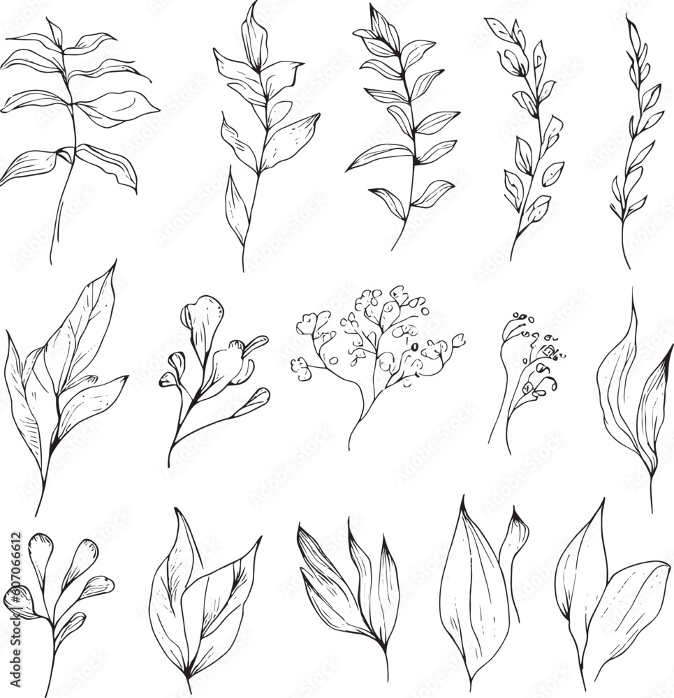 Beautiful monochrome black and white botanical elements are isolated on white. Hand-drawn leaf set and, botanical vector art. minimalist leaf drawing, simple botanical outline. wildflower sketch art. Beautiful monochrome black and white botanical elements are isolated on white. Hand-drawn leaf set and, botanical vector art. minimalist leaf drawing, simple botanical outline. wildflower sketch art.