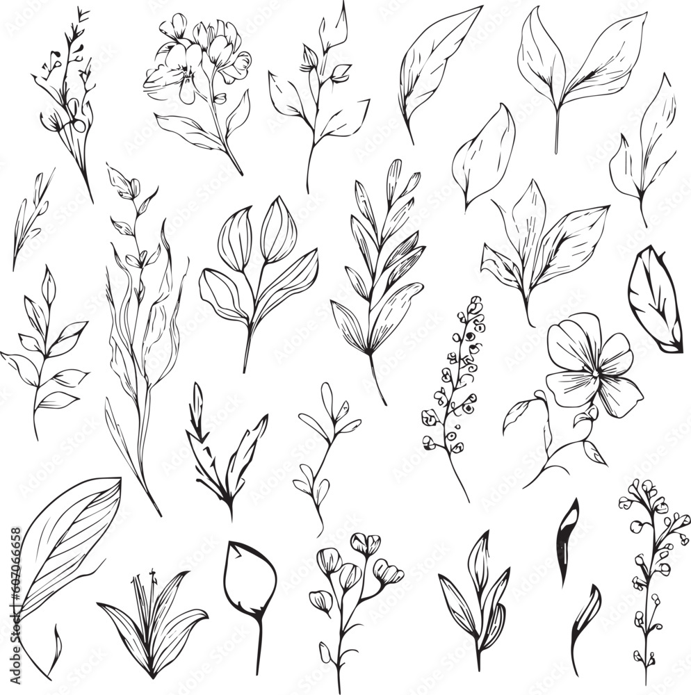 Wild flowers drawings, Wild flowers Set on the doodle art, coloring page vector sketch hand-drawn illustrations, and beautiful botanical element, Delicate Flowers Print. artistic flowers set.
