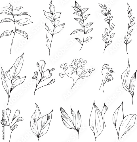 Beautiful monochrome black and white botanical elements are isolated on white. Hand-drawn leaf set and  botanical vector art. minimalist leaf drawing  simple botanical outline. wildflower sketch art.
