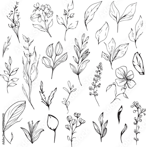 Wild flowers drawings, Wild flowers Set on the doodle art, coloring page vector sketch hand-drawn illustrations, and beautiful botanical element, Delicate Flowers Print. artistic flowers set. 
