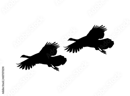 Pair of the Flying Turkey Silhouette for Art Illustration, Pictogram or Graphic Design Element. The Turkey is a large bird in the genus Meleagris. Vector Illustration