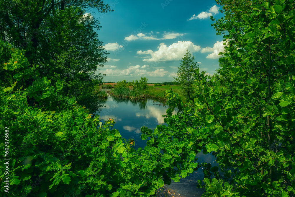 Summer lake on a sunny day with clouds and branches of green trees on the background of the water. Holidays in the summer countryside