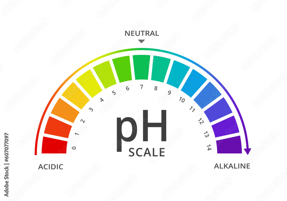Vector ph value scale meter diagram indicator for acid and alkaline solutions. Acidbase balance