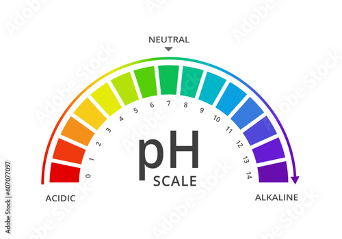 Vector ph value scale meter diagram indicator for acid and alkaline solutions.  Acid-base balance, chemical test infographic