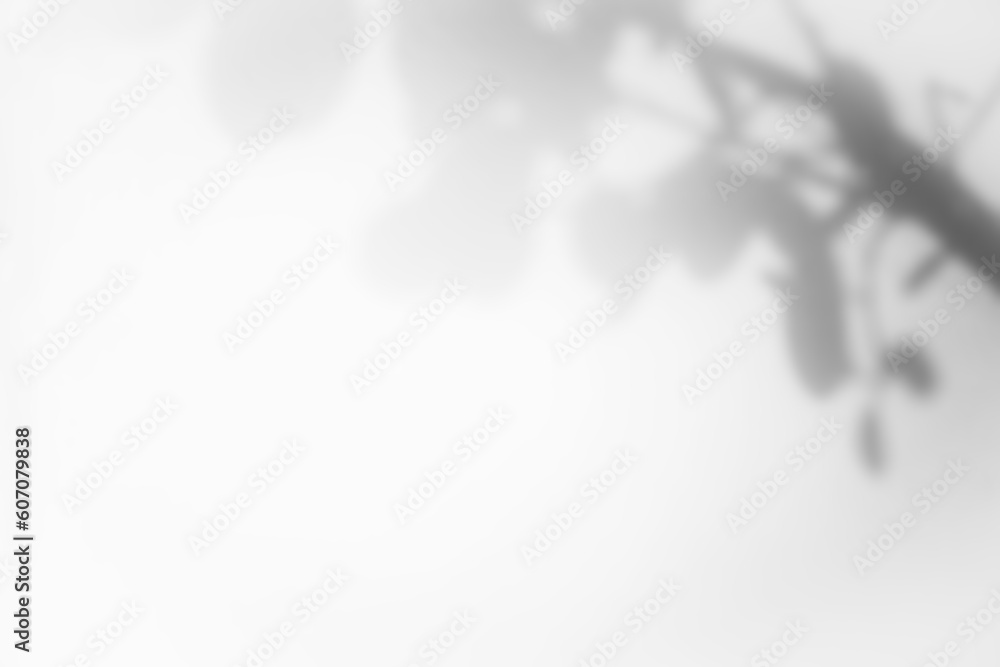abstract leaf shadow overlay abstract leaf shadow overlay