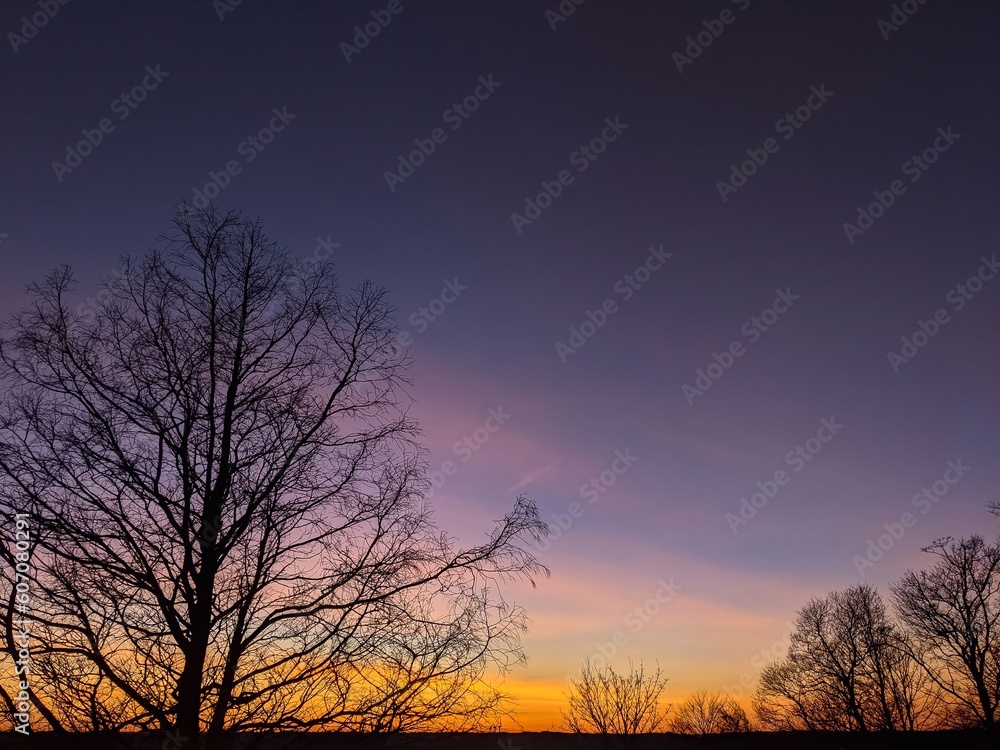 Landscape with a tree at sunset and a purple sky