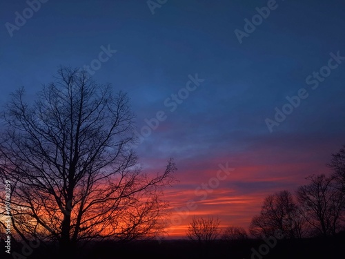Landscape with a tree at sunset and a red sky
