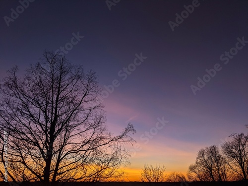 Landscape with a tree at sunset and a purple sky