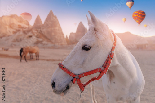 Travel excursion on horse with hot air balloons in Cappadocia Goreme Turkey