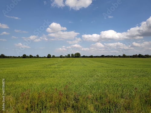 Schleswig Holsteins Feldlandschaft photo