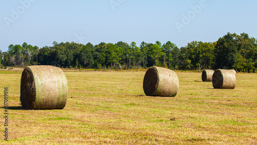 Rolled Hay Bales in rural Alabama