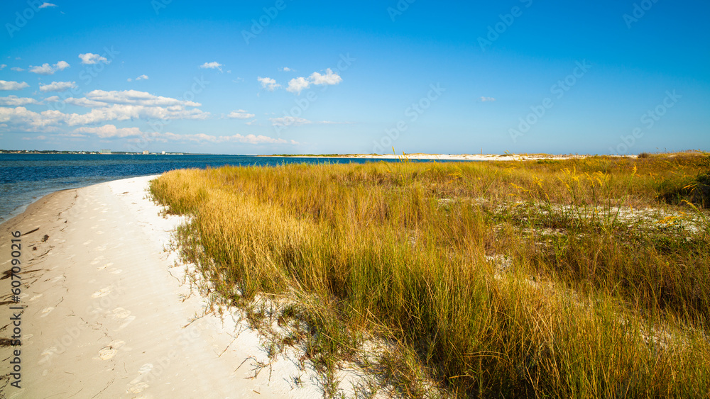 Beautiful Perdido Beach in Pensacola, Florida