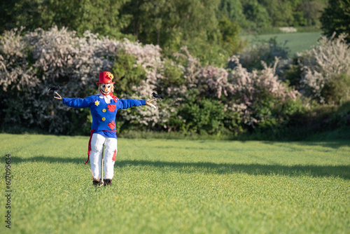 scarecrow in the field 