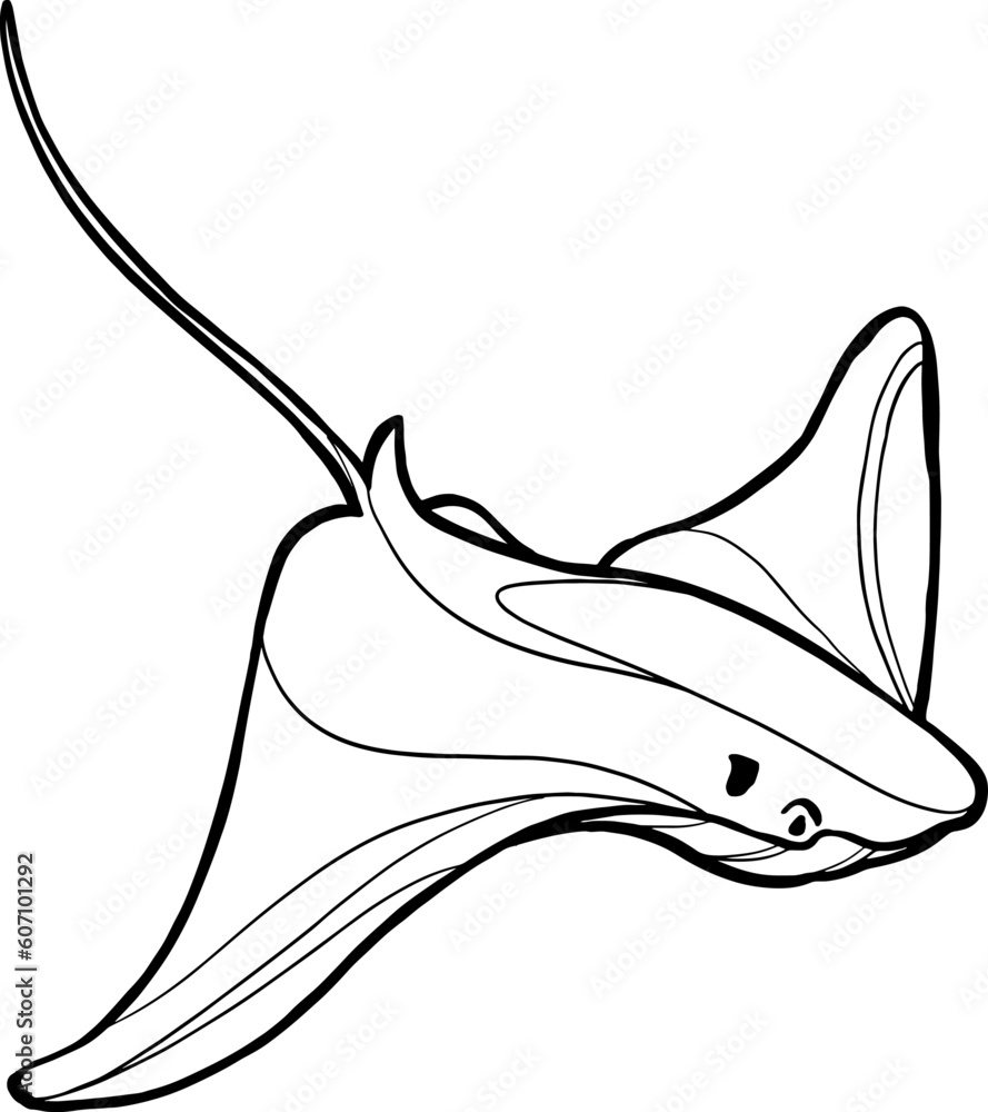 Devil fish. Line art vector illustration. Sea and ocean animals, modern ...