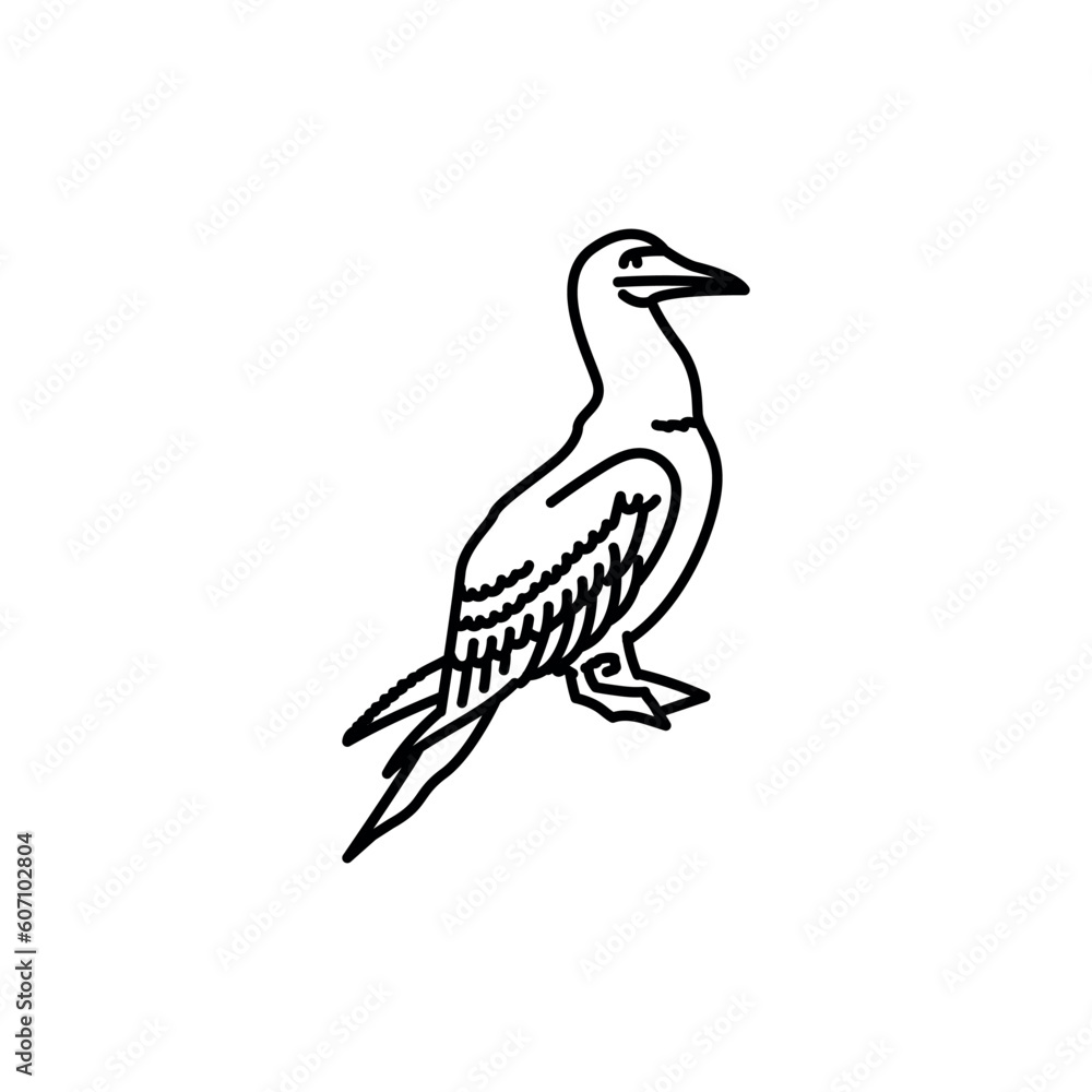 Obraz premium Sea ​​bird gannet black line icon.