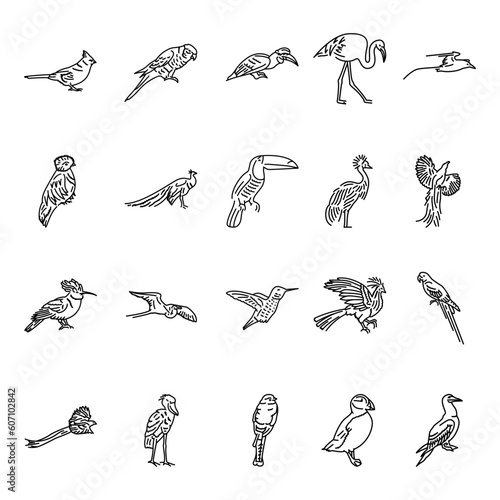 Exotic birds black line icons set.