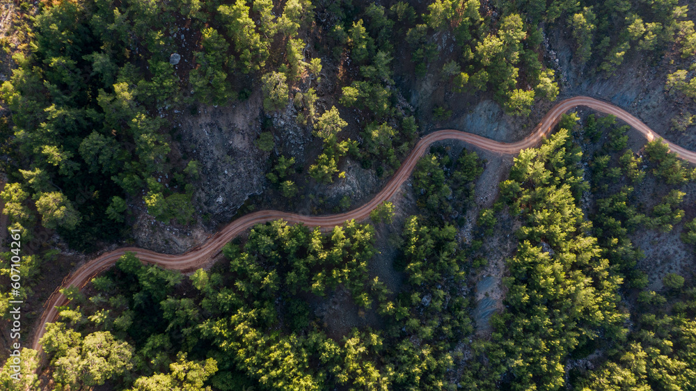 Aerial view of road between green summer forest Turkei