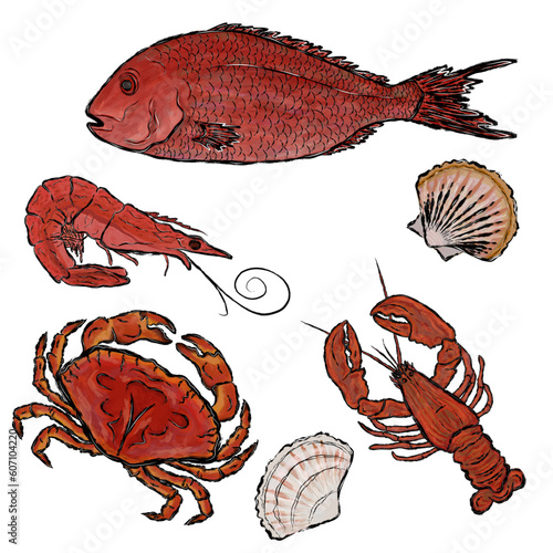 Sea set. Vector illustration. fish, cancer, crab, shrimp, shells. Black stroke. Elements for design