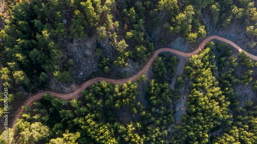 Aerial view of road between green summer forest Turkei