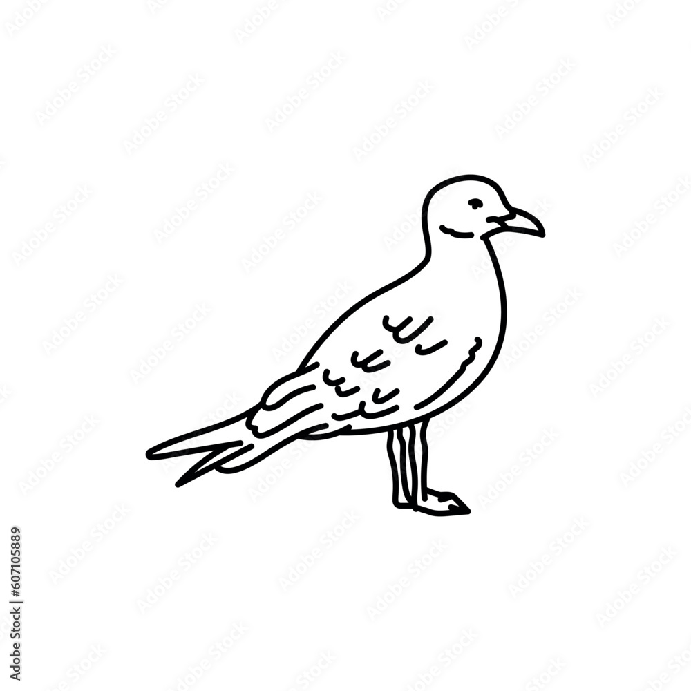 Fototapeta premium Gull bird black line icon.