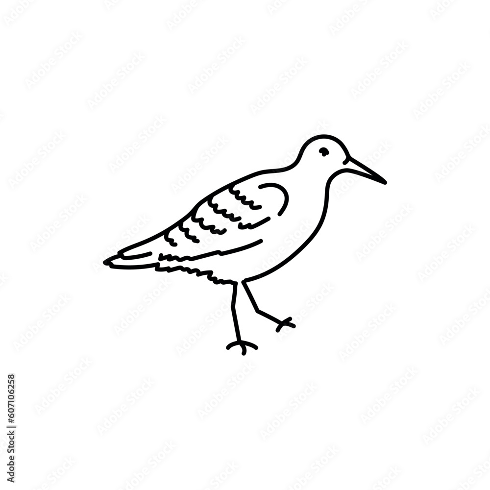 Obraz premium Sandpiper bird black line icon.
